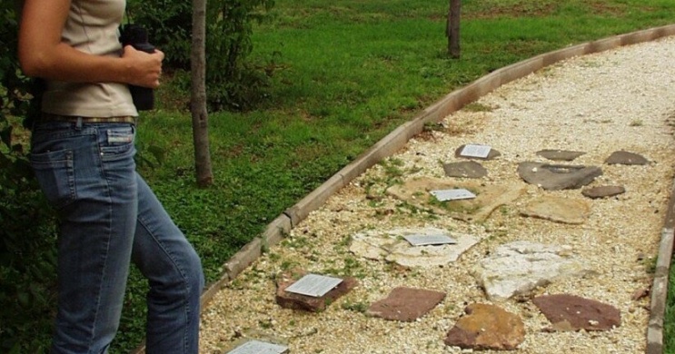 Csopaki tanösvény, mini ökotúra a Balaton-felvidéki Nemzeti Park központjában