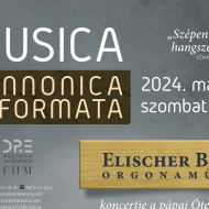 Orgonák Éjszakája Pápa 2024. Elischer Balázs orgonaművész koncertje az Ótemplomban