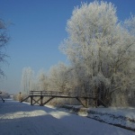 Tisza-tó téli túra wellness pihenéssel a Balneum Hotelben