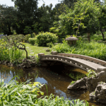 Japánkert Zuglóban, kerti séta és kóstoló egy hagyományos japánkertben az Imagine-nel