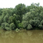 Kormorános-erdő tanösvény, ökotúra a Dráva-völgyében, a Duna-Dráva Nemzeti Parkban