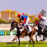 Budapesti lóversenyek titkai, városnéző séta a Kincsem Parkban