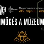 Interaktív kiállítás gyerekeknek a beporzókról a Magyar Természettudományi Múzeumban