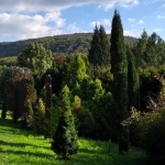 Agostyáni Arborétum programok 2022