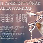 Karácsony az Állatparkban 2022. Családi Advent Vasárnapok a Körösvölgyi Állatparkban
