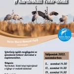 Darules, őszi madárvonulás a Kardoskúti Fehér-tónál 2022