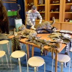 Természetbúvár terem, interaktív program gyerekeknek a Természettudományi Múzeumban