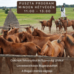 Puszta program 2023. Csikósbemutató lovaskocsikázással Bugacpusztán a Karikás Csárdánál