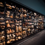 Kerámia kiállítás a Néprajzi Múzeumban, a világ kerámiái a kerámiatér látványtárban