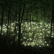 Szentjánosbogár túra 2024. Csodalámpák éjszakája az Agostyáni Arborétumban