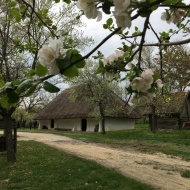 Oszkói Pincetájház