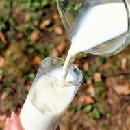 Június 1. Nemzetközi tejnap