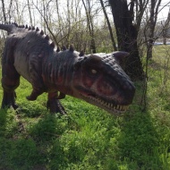 Dino Park Tiszafüreden, nézze meg az élethű, mozgó és hangot adó dinókat!