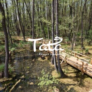 Tatai  Fényes Tanösvény - Ökotúra a  vadregényes láperdőben