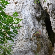 Csákvári Báraczházi-barlang