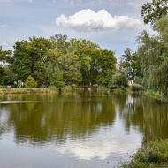 Fehérvárcsurgói Arborétum és Károlyi Kastélypark