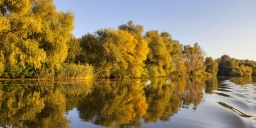 Amur horgászat ősszel a Tisza-tónál, szállással a tóparti Balneum Hotelben