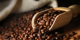Tokaji Kávépörkölő Manufaktúra és Kávéház Tokaj