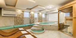 Wellness Mosonmagyaróvár, jakuzzi, szauna és sószoba a Thermal Hotel privát wellness részlegén