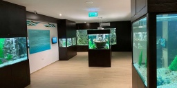 Garda Akvárium Látogatóközpont Tihany