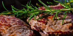 Grill & BBQ Fesztivál Dunaharaszti 2022. FÜSTÖS NYÚL KUPA Nemzetközi Steaksütő verseny