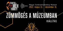 Interaktív kiállítás gyerekeknek a beporzókról a Magyar Természettudományi Múzeumban