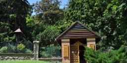 Pécsi Pintér-kert Arborétum programok 2022