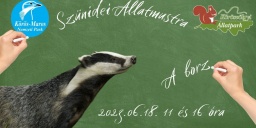 A borz bemutatása, szünidei állatmustra a Körösvölgyi Látogatóközpont és Állatparkban