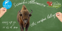 Az európai bölény bemutatása, szünidei állatmustra a Körösvölgyi Látogatóközpont és Állatparkban