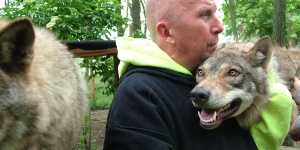 Farkasok - ingyenes ismeretterjesztő bemutató a Veresegyházi Medveotthonban hétvégén és ünnepnapokon