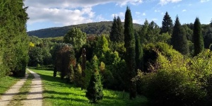 Agostyáni Arborétum látogatás Tatán, séta a fenyők erdejében