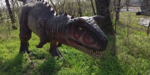 Dino Park Tiszafüreden, nézze meg az élethű, mozgó és hangot adó dinókat!