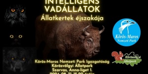 Állatkertek éjszakája 2024 Szarvas. Várjuk a Körös-Maros Nemzeti Park Állatparkjában