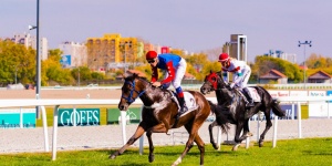 Budapesti lóversenyek titkai, városnéző séta a Kincsem Parkban