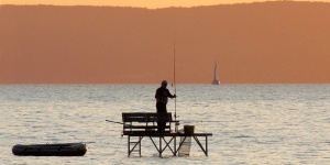 Bojlis horgászat 2024. Nemzeti Balatoni Bojlis Horgászverseny
