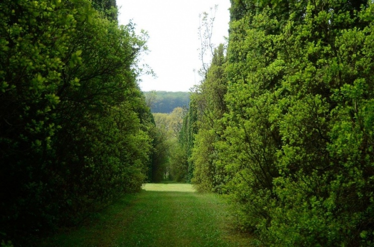 Budakeszi Arborétum