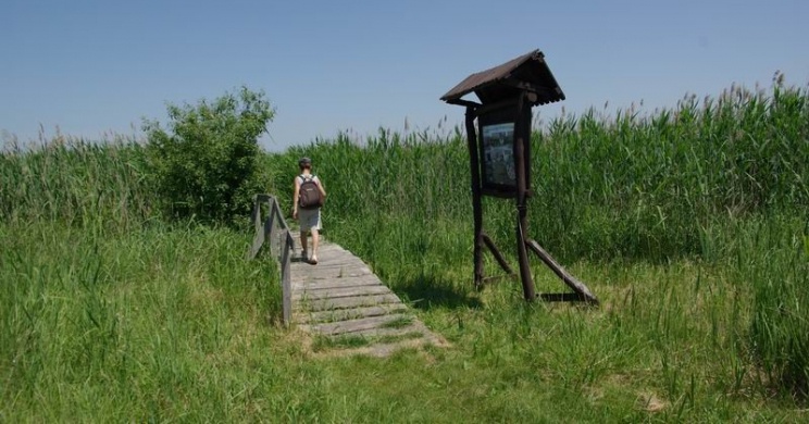 Kékbegy tanösvény Farmoson, ökotúra a Tápió-vidékén, a Duna-Ipoly Nemzeti Parkban