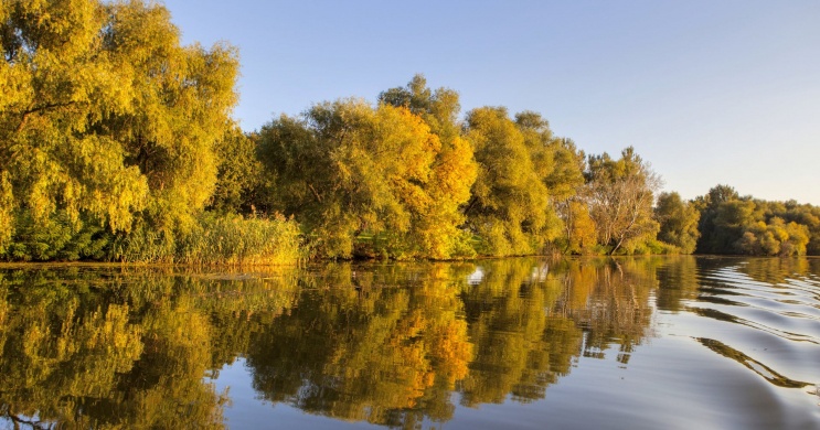 Amur horgászat ősszel a Tisza-tónál, szállással a tóparti Balneum Hotelben
