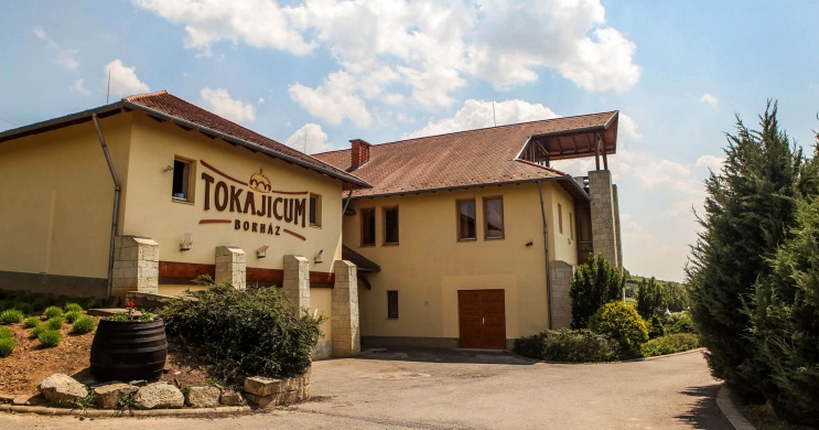 Tokajicum Borház