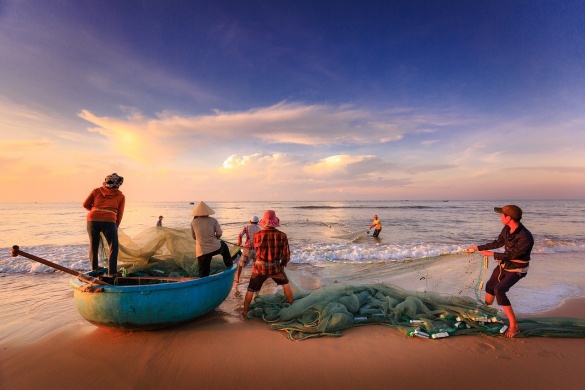 November 21. Halászati világnap