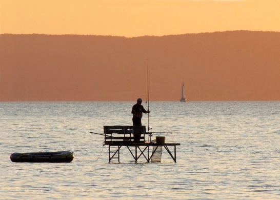 Bojlis horgászat 2024. Nemzeti Balatoni Bojlis Horgászverseny