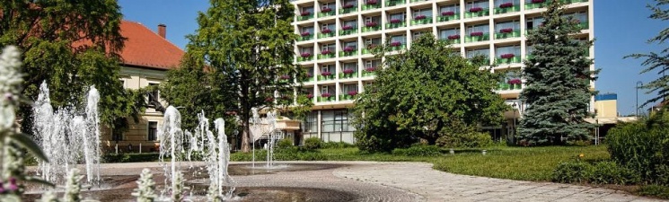 Aranyhomok Business-City-Wellness Hotel**** Kecskemét