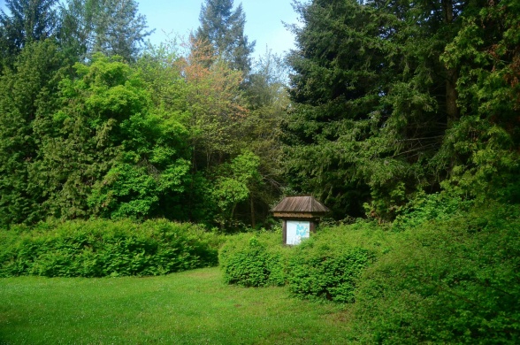 Budakeszi nyári tábor. Vár a Budakeszi Arborétum tábora