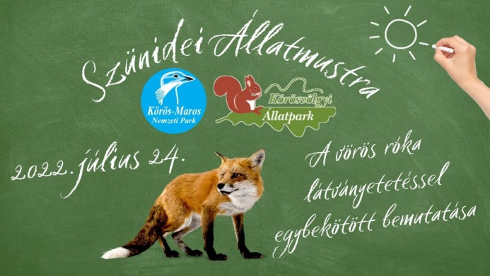 A róka bemutatása. Szünidei állatmustra a Körösvölgyi Látogatóközpont és Állatparkban