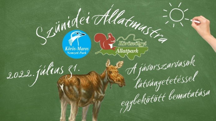 A jávorszarvas bemutatása. Szünidei állatmustra a Körösvölgyi Látogatóközpont és Állatparkban