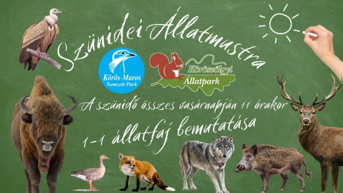 Látványetetés 2022. Szünidei Állatmustra a Körösvölgyi Látogatóközpont és Állatparkban