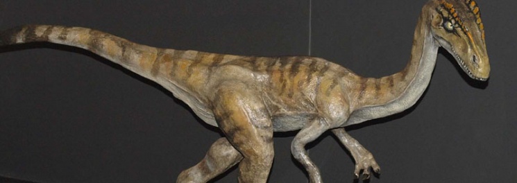 A dinoszauruszok kora Magyarországon, állandó kiállítás a Magyar Természettudományi Múzeumban