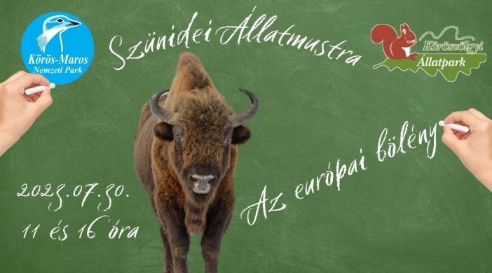 Az európai bölény bemutatása, szünidei állatmustra a Körösvölgyi Látogatóközpont és Állatparkban