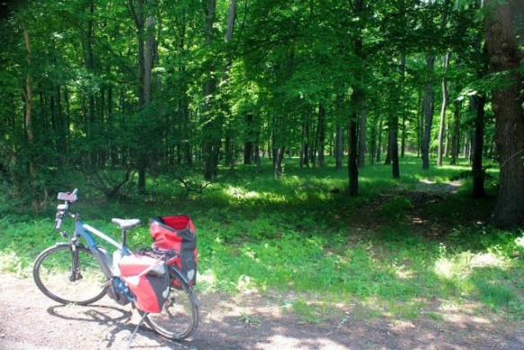 E-bike túra. Ismerje meg a Duna-Dráva Nemzeti Park szépségeit kerékpáros túrákon!