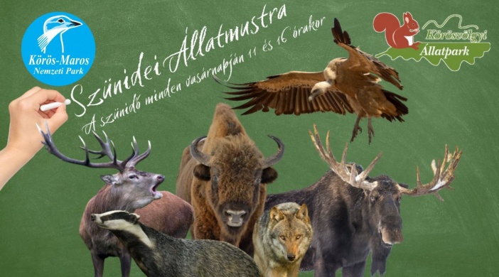 Látványetetés 2023. Szünidei Állatmustra a Körösvölgyi Látogatóközpont és Állatparkban